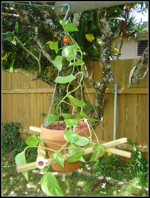 Bamboo Outdoor Hanger DIY