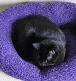 DIY Recycled Sweater Cat Bed via Pet Project