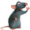 Renaissance Mouse profile image