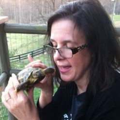 The Double Life of My Amazing Pet Tortoise