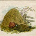 Little Boy Blue from Mother Goose