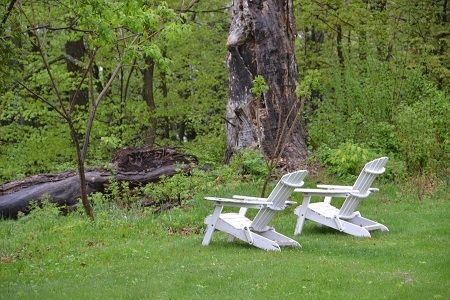 Two Adirondack chairs at edge of the lawn, looking out into the woods - A morgueFile Free Photo