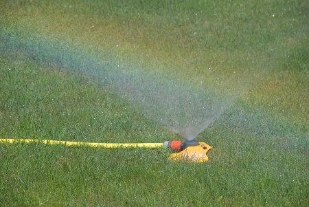 Lawn sprinkler running in hot sun - a morgueFile Free Photo