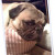 Meet Charlie the Pug, our funny boy. Meet Charlie the Pug, our funny boy.