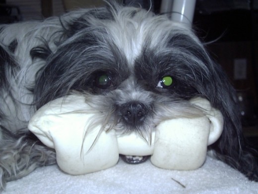 Share is not part of Teddy's job description.