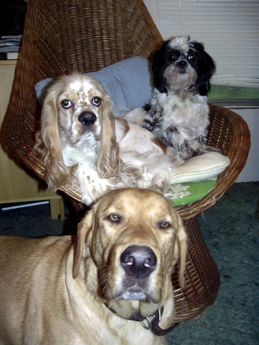 Teddy sits with Riley and Beau.