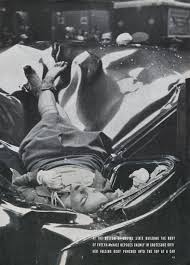 Tragic suicide of Evelyn McHale.
