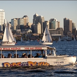 A Seattle Duck On Lake Union