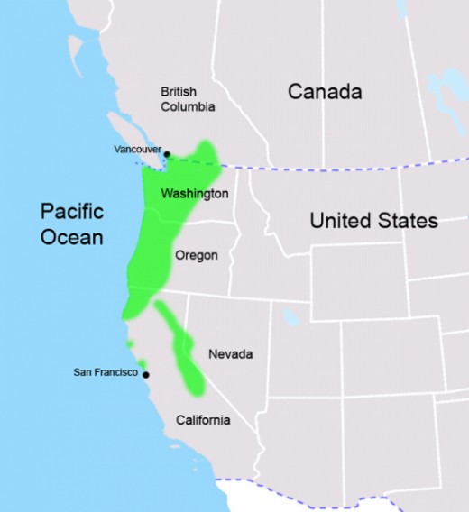 Range Map of the  Mountain Beaver 