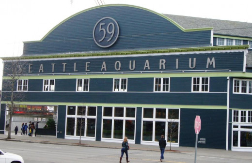 Seattle Aquarium on Pier 59