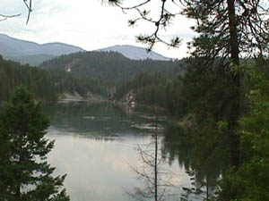 Colville National Forest