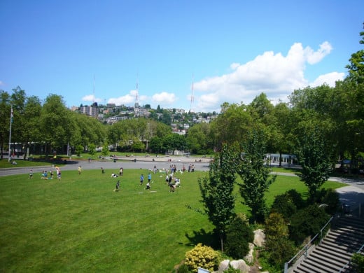 A large lawn near the fountain to play or relax