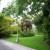 A palm tree in Seattle!  This is one of several palm trees surrounded by a lush green lawn area and mature trees and shrubs