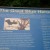 A sign with information about the Great Blue Herons that frequent the area around the locks