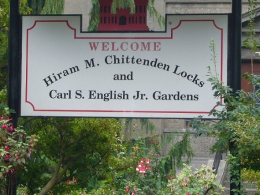 Even the signs are surrounded by flowers