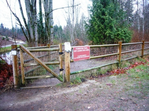 One of the entrances to the forested trail area.