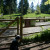 Another view of the meadow area from the forest trail area