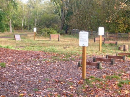 The meadow area agility training area
