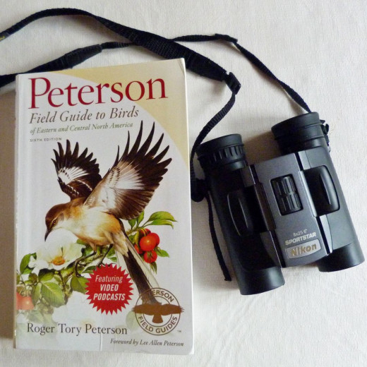 My essential birding gear My essential birding gear