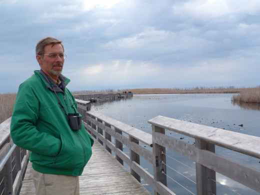 Cloudy morning at the Marsh Boardwalk (that's my husband) Cloudy morning at the Marsh Boardwalk (that's my husband)