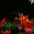 Jiang Tai Gong Fishing Jiang Tai Gong Fishing