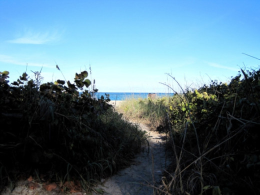 path to the sea photo by mbgphoto