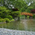 Bridge in Japanese Garden Bridge in Japanese Garden