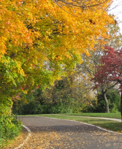 Faust Park in Autumn