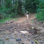 Photos just do not do the steepness of the terrain justice. Photos just do not do the steepness of the terrain justice.