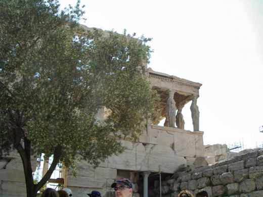 Another view of the Karyatids through Athena's olive tree.