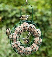 Hang your homemade fat balls in a fat ball feeder like this one