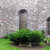 Grey Nuns. Amazing original brick work and lists of names on the windows. Grey Nuns. Amazing original brick work and lists of names on the windows.