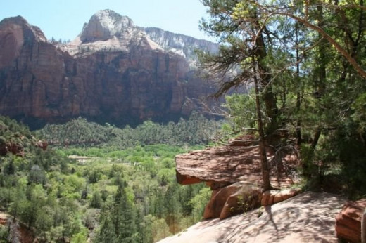 Zions Canyon, viewed from the Middle Emerald falls by Linda Hoxie