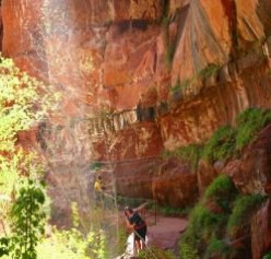 The Lower Emerald Pool Trail - at Zion National Park