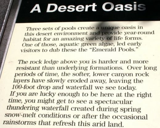 A Desert Oasis