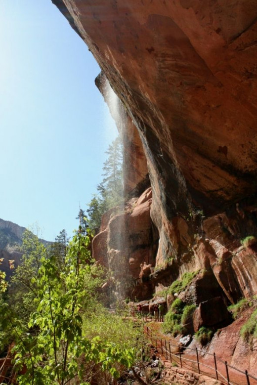 Lower Emerald Pools at Zions National Park