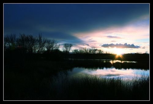 Beautiful hues of Blue on the Pond