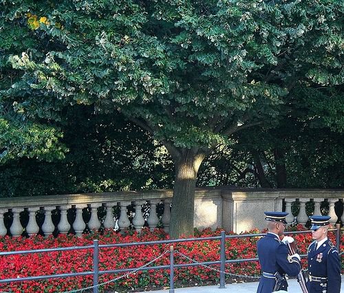 The changing of the guards at the Tomb of the Unknown Soldier