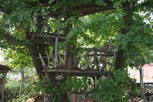 Cool Tree house photo