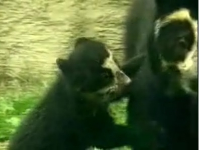 Tunk Playing With Mom