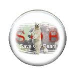 Save our Bear badge
