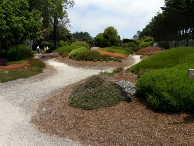 Heather Garden
