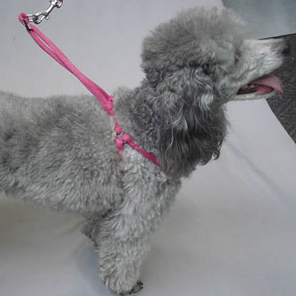 Rolled Microfiber Step-in Harness