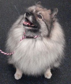 Lydia