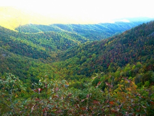 This is Wildcat Rock Overlook in the fall.