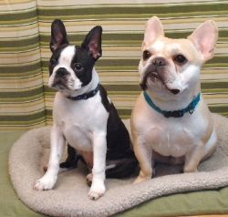 Booker and Teddy