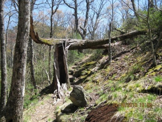 Part of Fodder Stack trail in April.