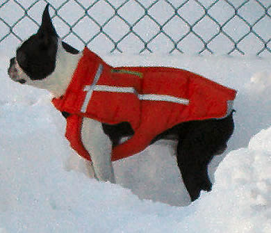 Booker in his ChillyBuddy Jacket
