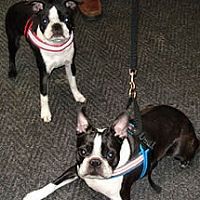 Winston and Frankie