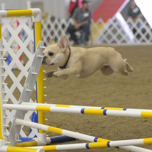 Flying high!